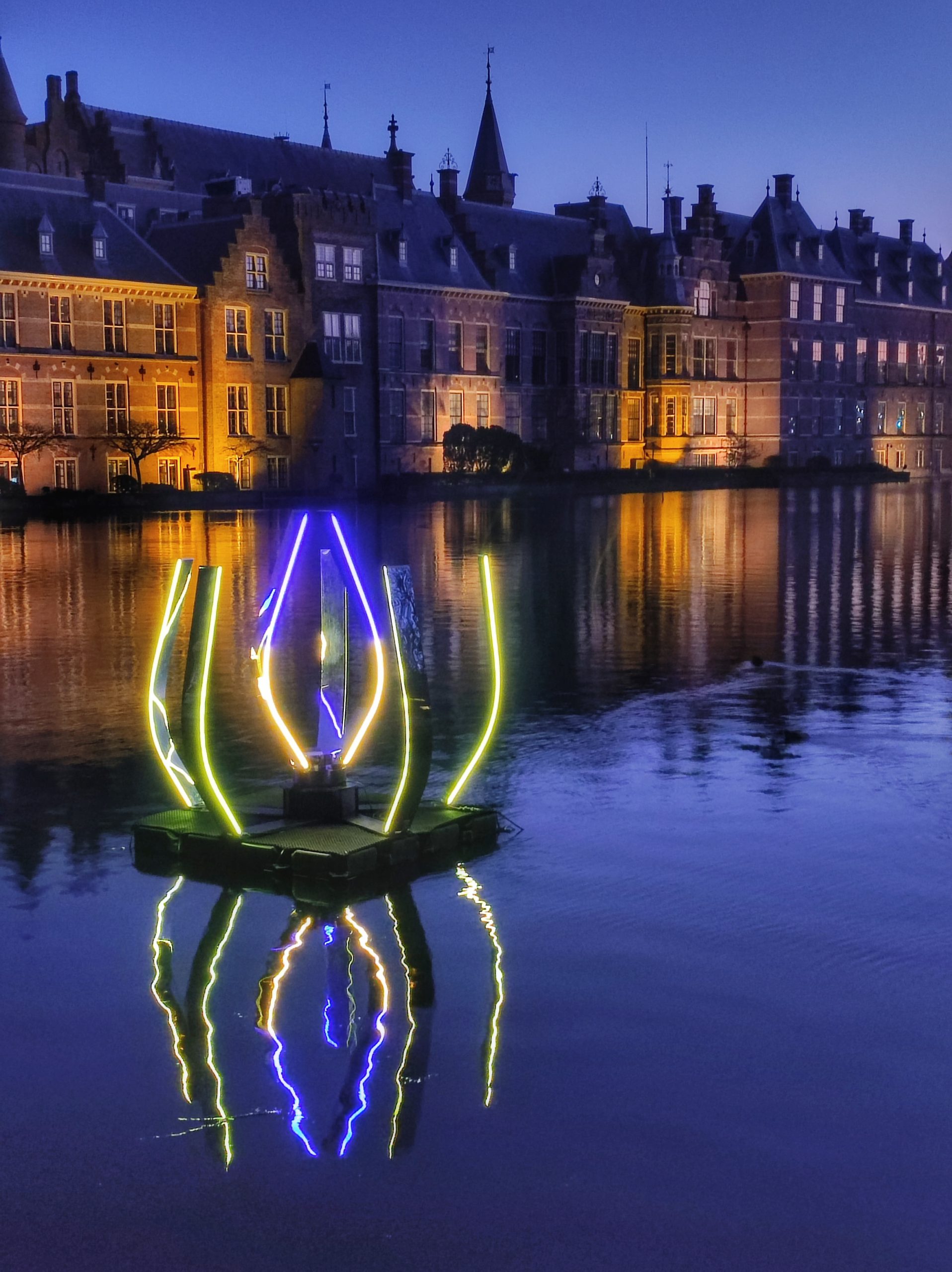 LightAnemones-scaled