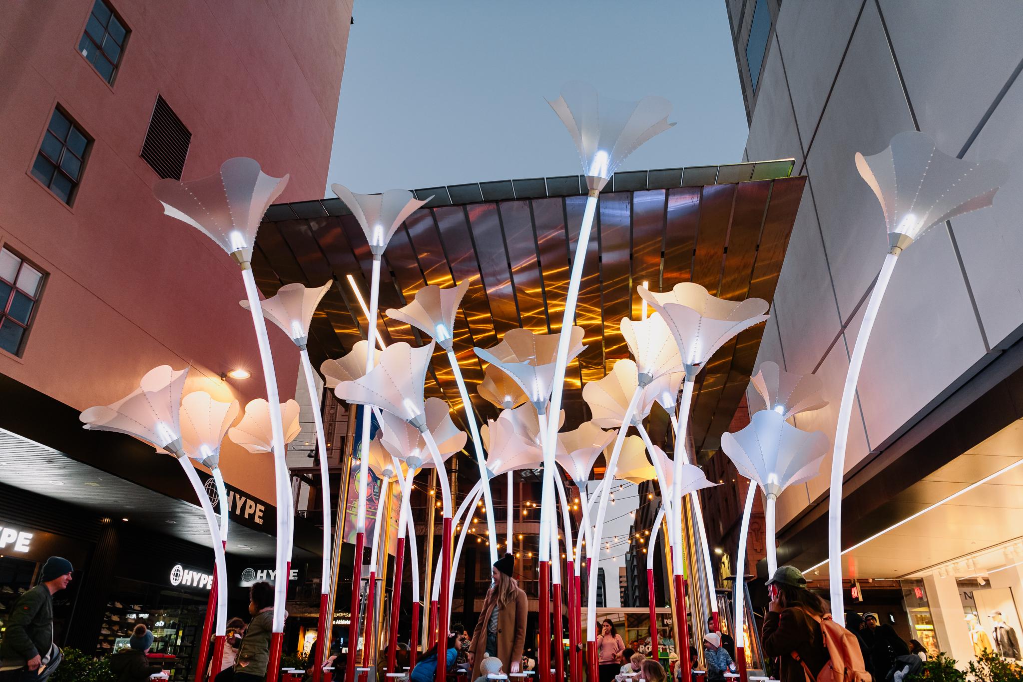 MATTCARTER_15-7-23__-139