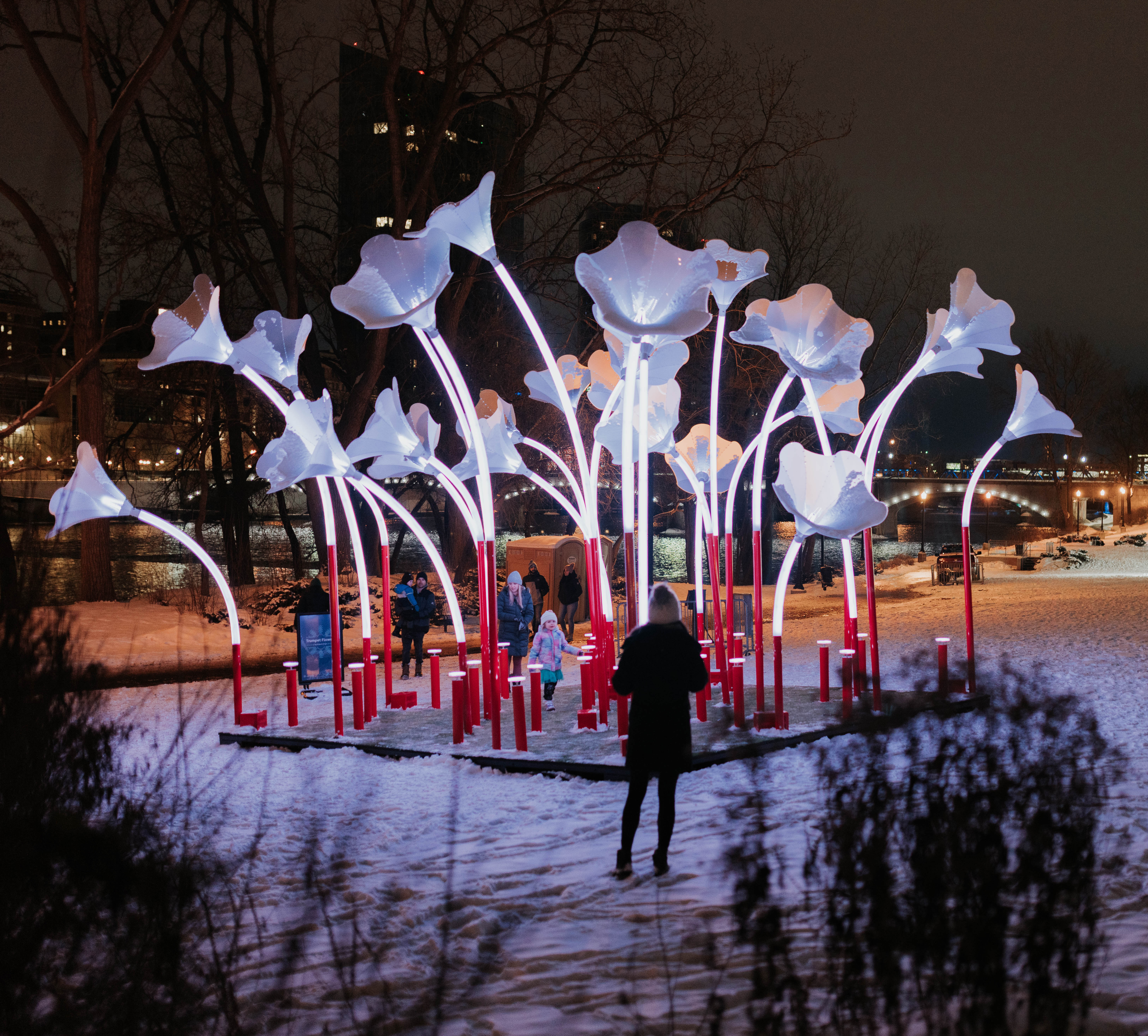 WoW__A3A7657-photo-credit-Leigh-Ann-Cobb-Photography