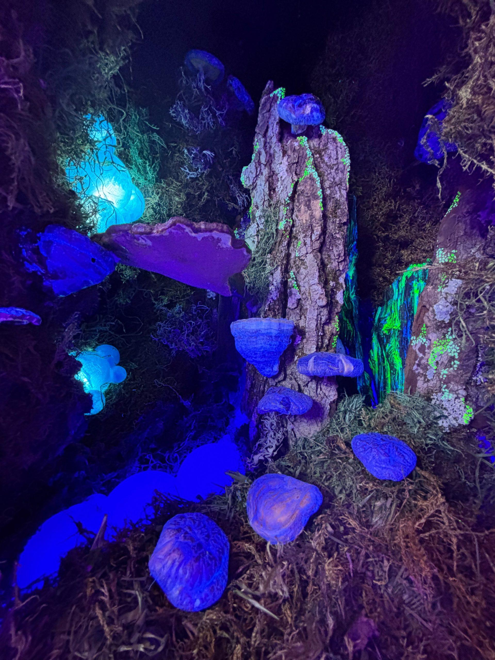Le jardin des lumières
