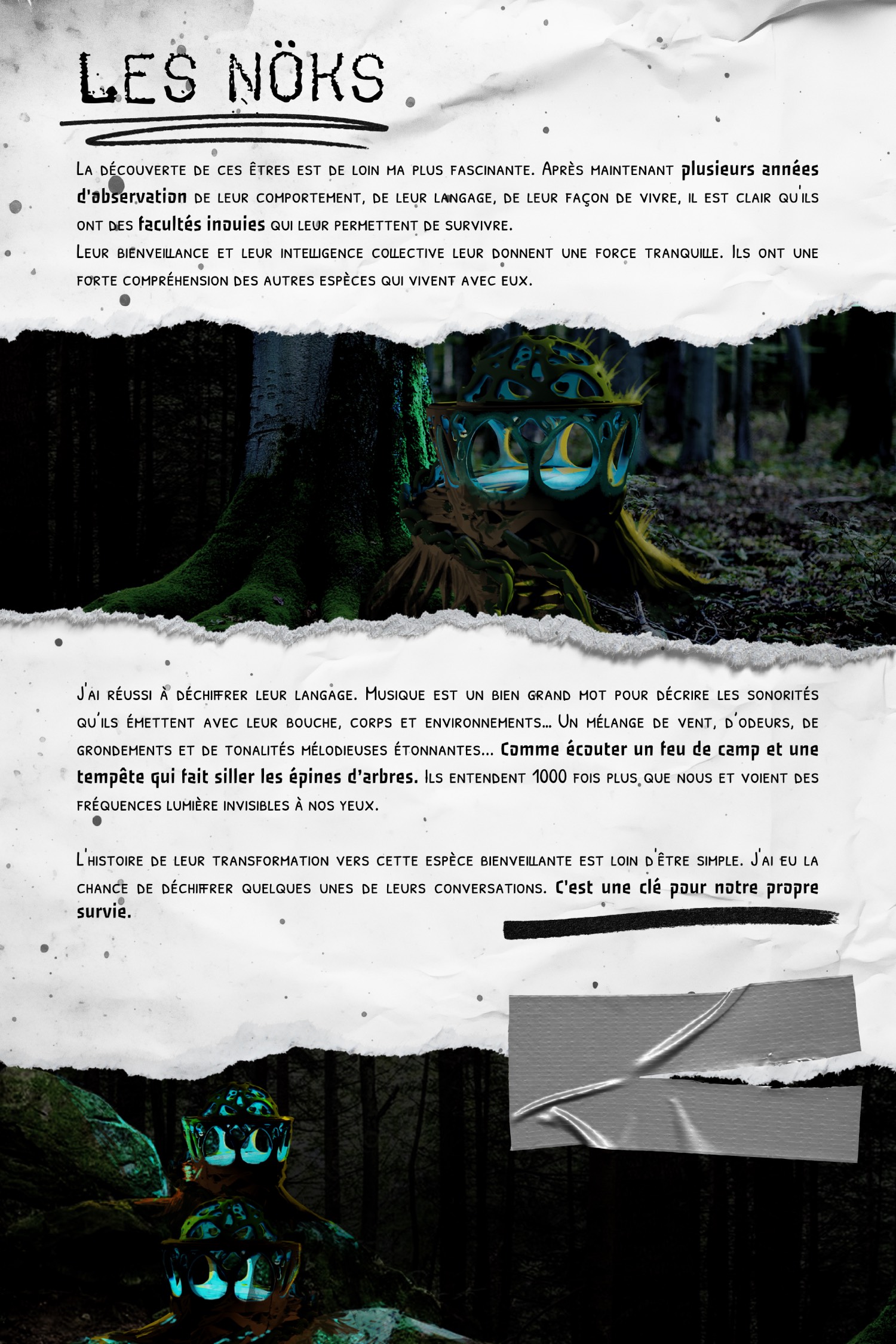 Le jardin des lumières