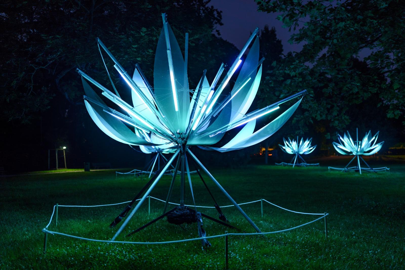Lotus
