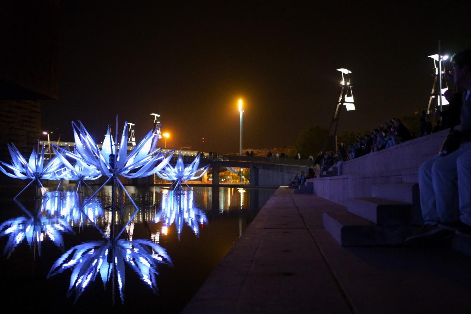 Lotus