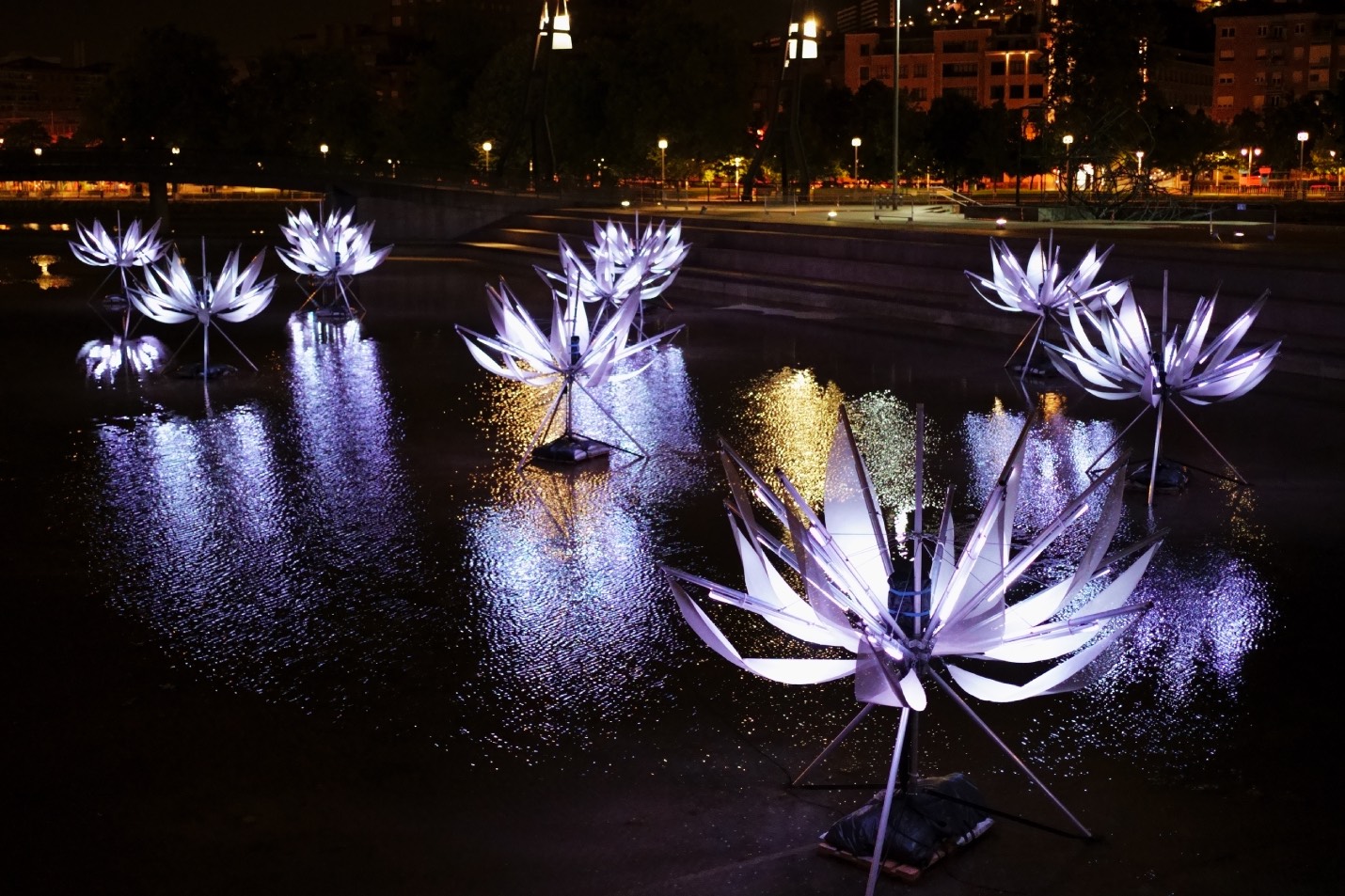 Lotus