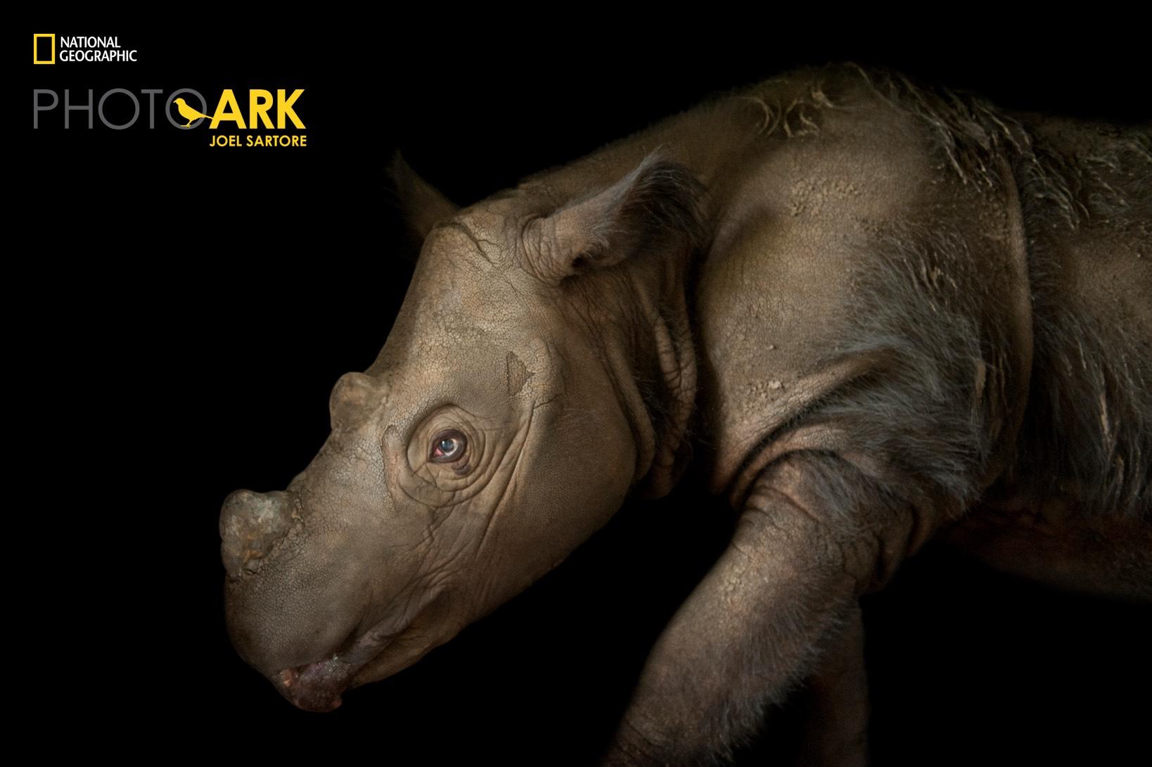 Photo Ark