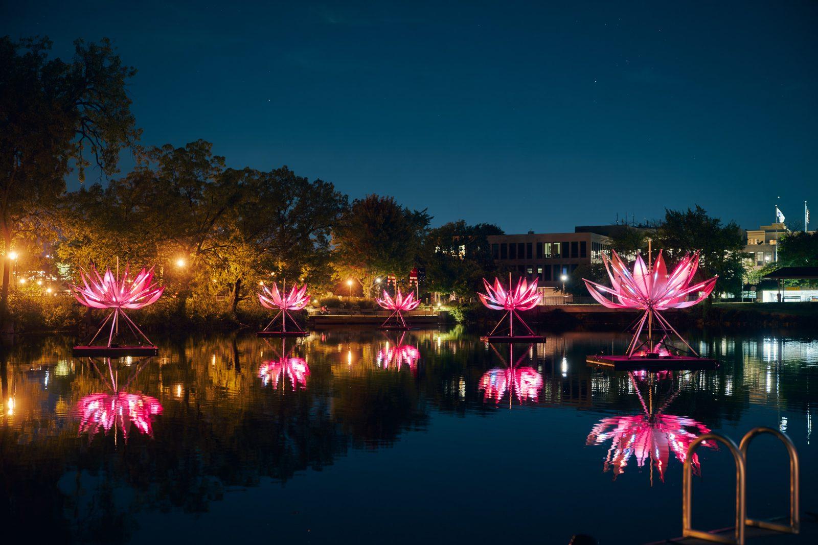 Lotus