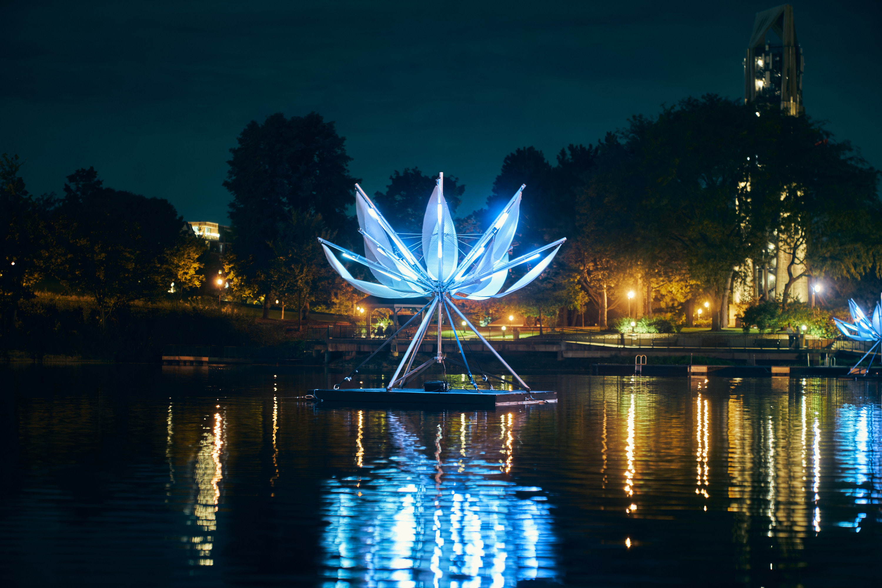 Lotus