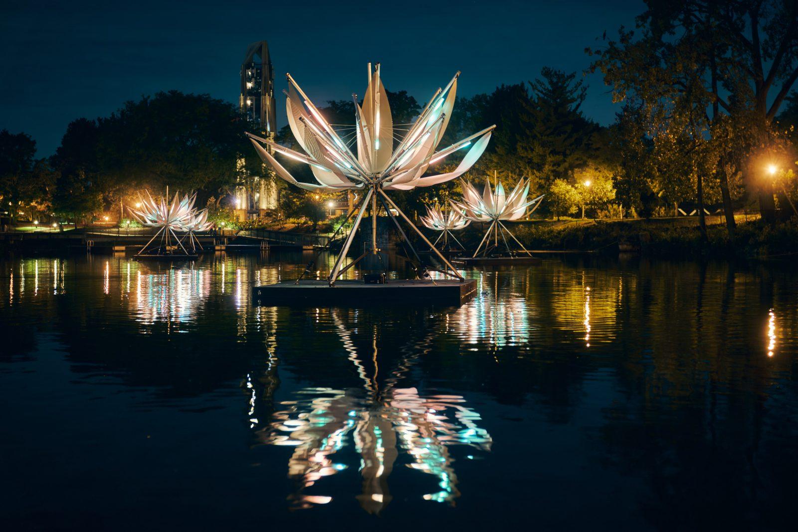Lotus