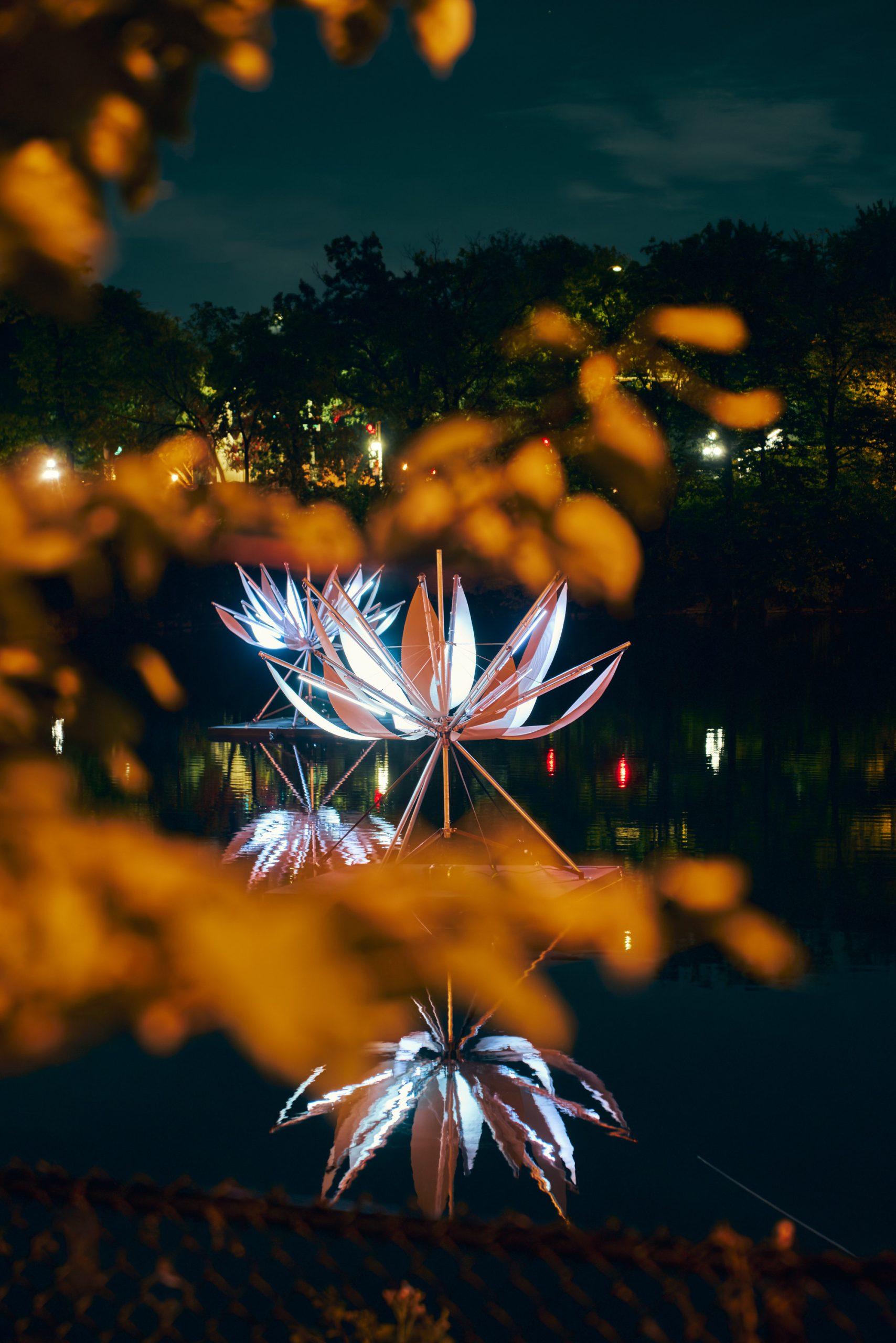 Lotus