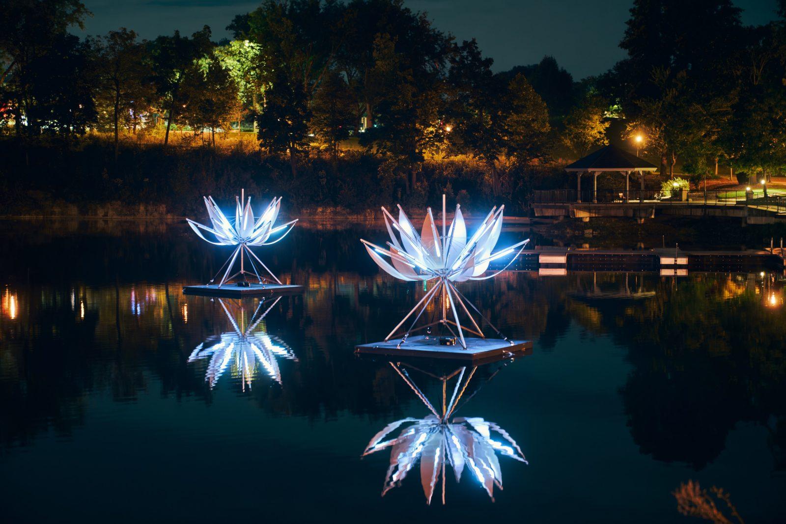 Lotus