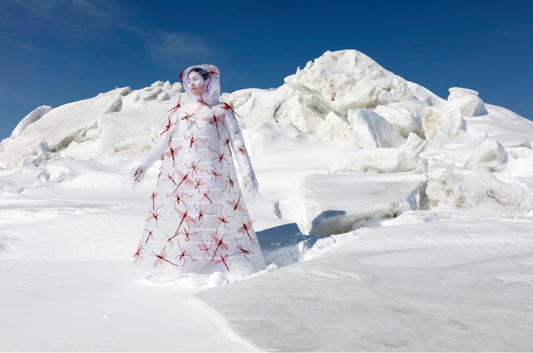 Meryl McMaster