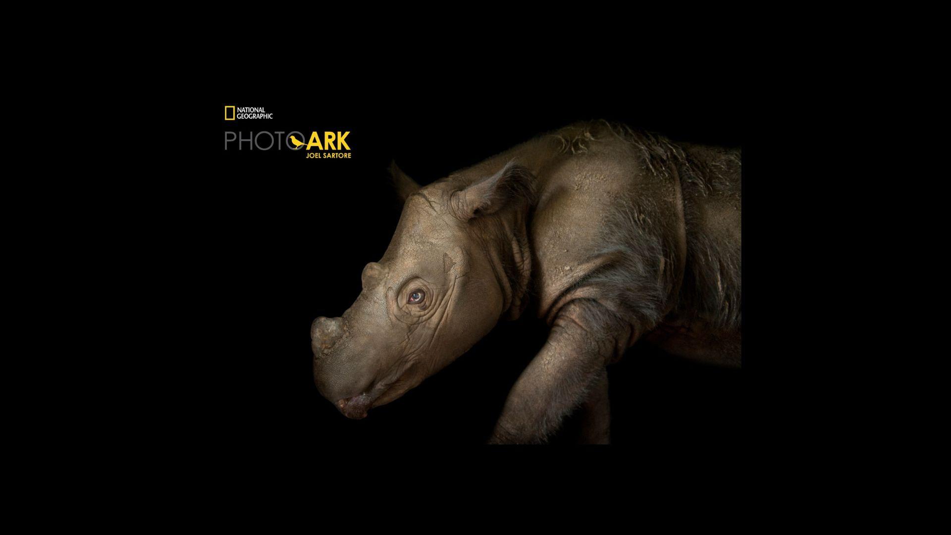 Photo Ark
