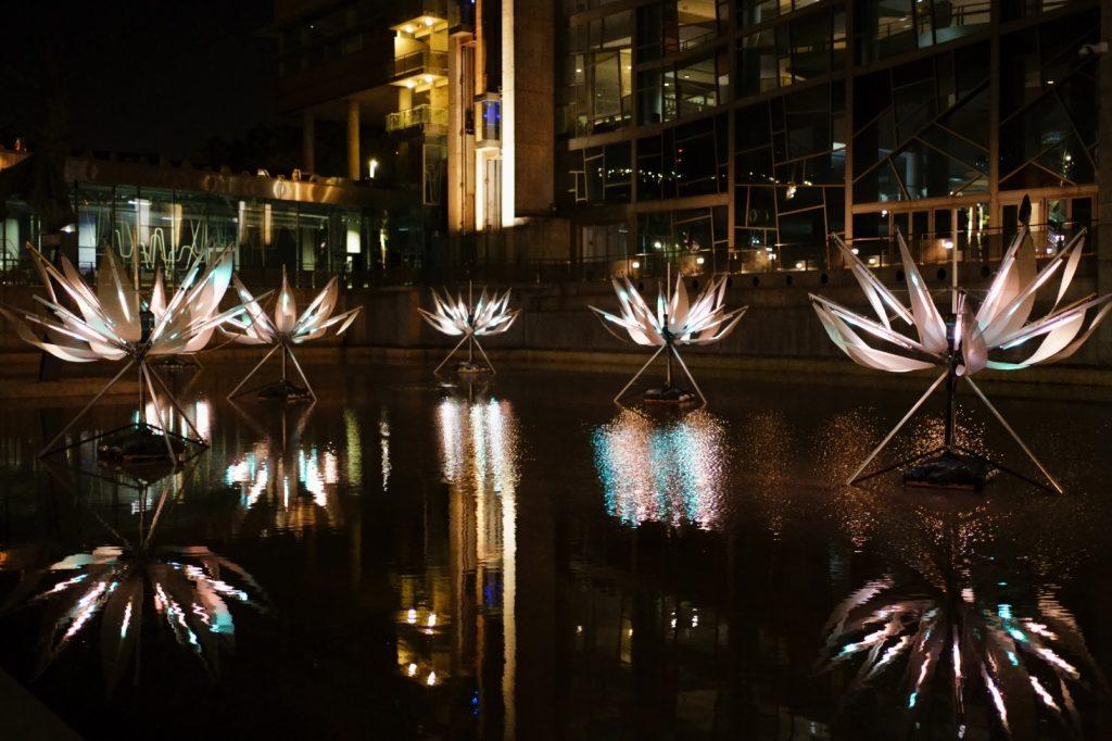 Lotus